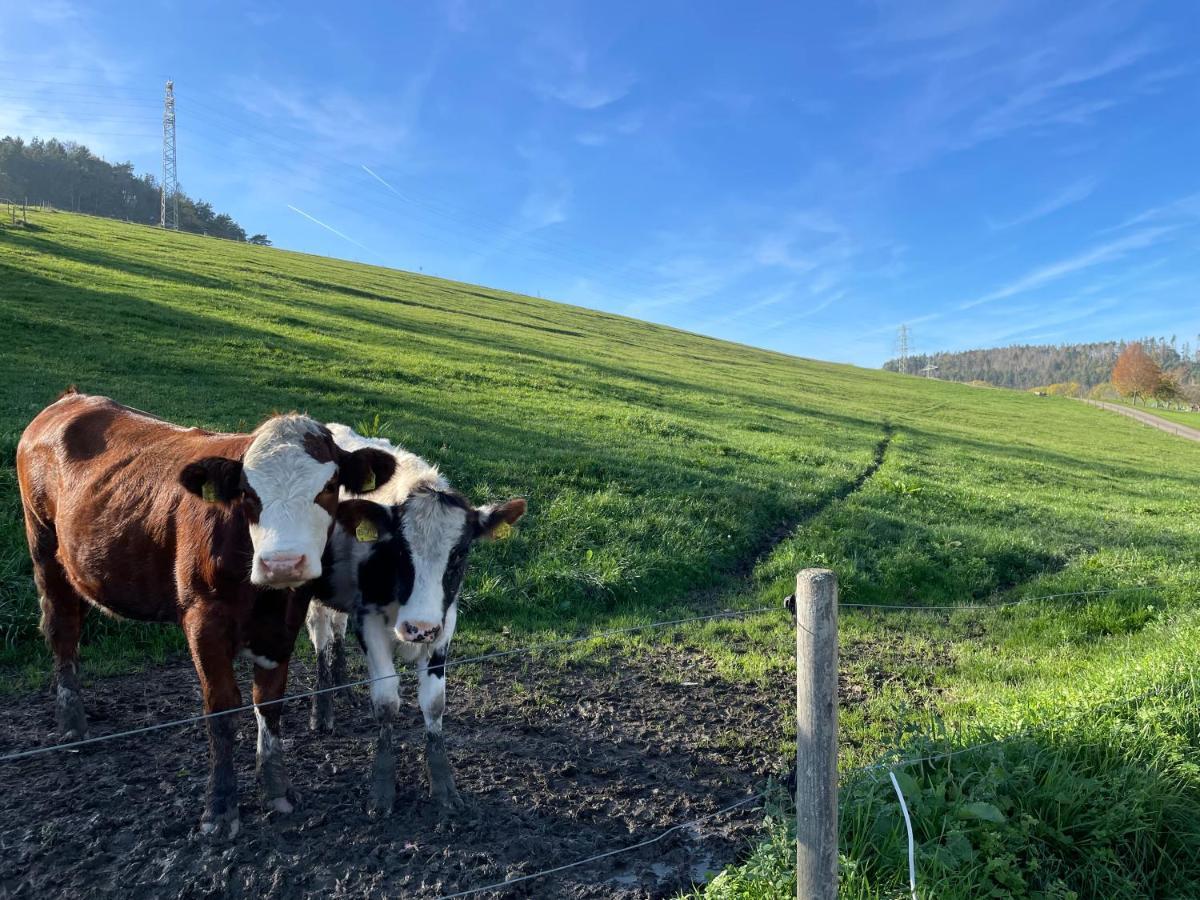 Ferien Im Schwarzwald - Ruhe & Naturverbunden Weilheim Ngoại thất bức ảnh